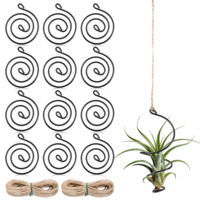 Xelsluthe 12 Pcs Air Plants Live Holders with Jute Ropes, Soilless Air Plant Hanger Hanging Plant Holder Succulent Hanging Display
