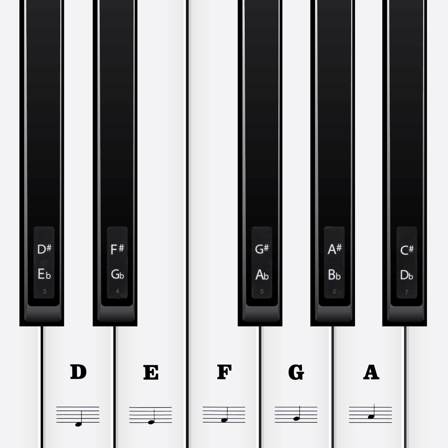 Piano Keyboard Stickers 88/61/54/49/37 Keys White and Black Keys Removable Keyboard Letters Keyboard Note Labels Sticker Piano Stickers for Beginners