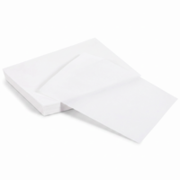 300 Pcs Perm Paper for Hair, End Papers for Hair, Disposable Salon Hair End Wrap Papers, High Temperature Resistance Curling Tissue Styling Accessories for Cold and Hot Perms (White)
