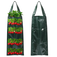 2 PCS Strawberry Grow Bags, 8 Holes Hanging Tomato Planters Upside down Garden Vertical Strawberry Planters Strong Plastic Hanging Grow Bags for Strawberries Tomatoes Chili Vegetables Flower Planting