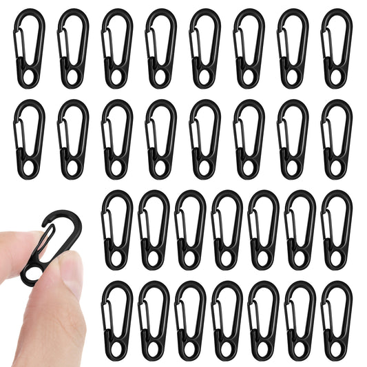 30 PCS small carabiner clip, Metal Spring Snap Hook Keychains Mini Carabiner Clip for Keys, Micro Carabiners with a Transparent Storage Box Key Carabiners Clips Sport Accessories for Outdoor Camping
