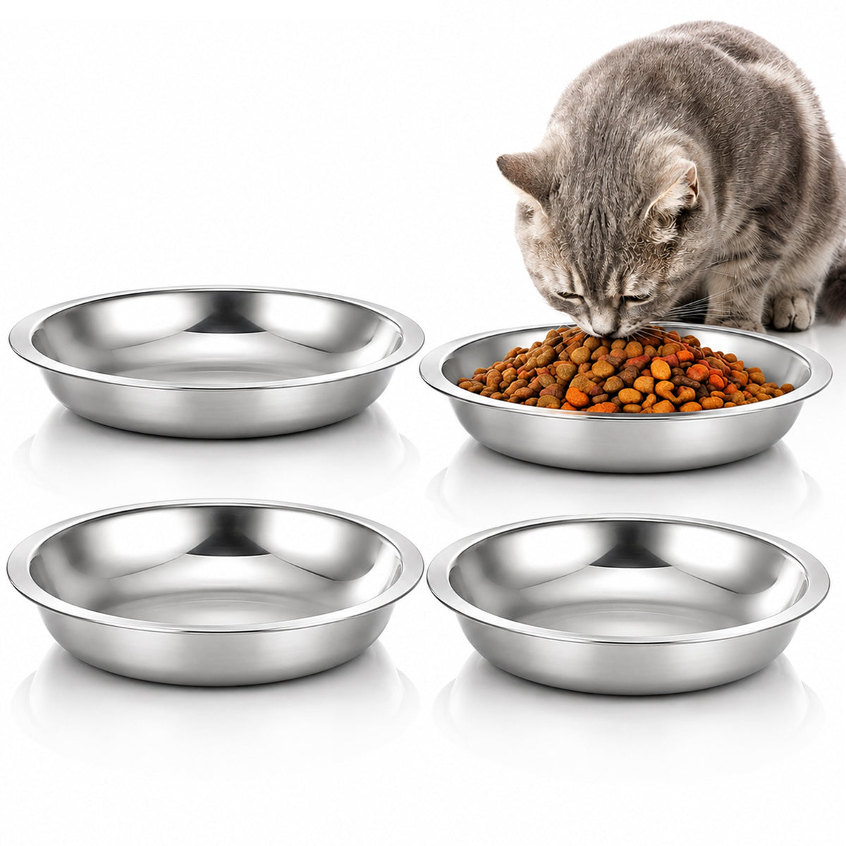 Qulkws 4 Pcs Stainless Steel Cat Bowls, 6.3 Inch Shallow Cat Bowls