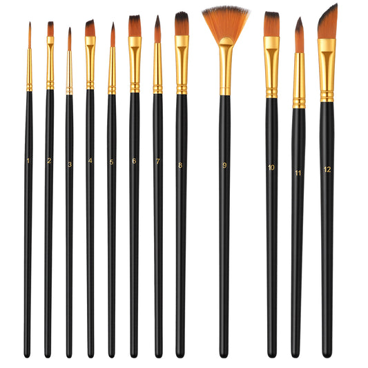 Artist Paint Brush Set, 12 Pcs Assorted Shapes & Sizes Artist Paint Brush, Professional Brushes for Acrylic, Watercolor, Oil, and Gouache, Beginners and Professionals