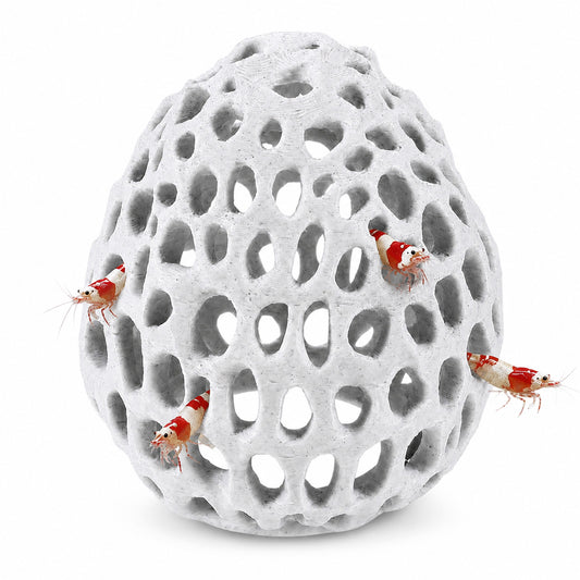 Bruislard Shrimp Cave Shrimp Dome Hide Shrimps Hides for Aquarium Betta Fish Hideout with Suction Cup for Fish Tank Decor Hiding & Resting Betta Fishes Habitat Tank Ornament Accessories