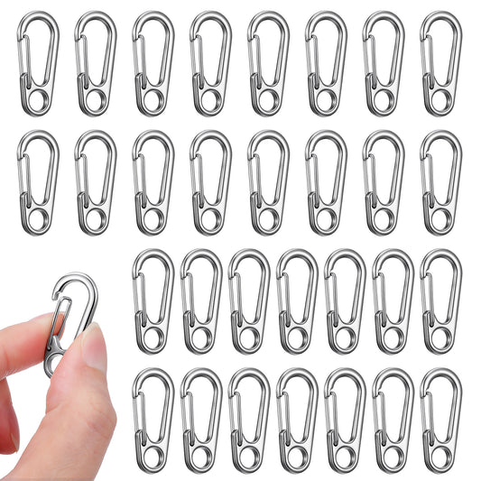 30 PCS Small Carabiner Clip, Metal Spring Snap Hook Keychains Mini Carabiner Clip for Keys, Micro Carabiners with a Transparent Storage Box Key Carabiners Clips Sport Accessories for Outdoor Camping