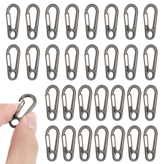 30 PCS Mini Carabiner Clip, Metal Spring Snap Hook Keychains Small Carabiner Clip for Keys, Micro Carabiners with a Transparent Storage Box Key Carabiners Clips Sport Accessories for Outdoor Camping