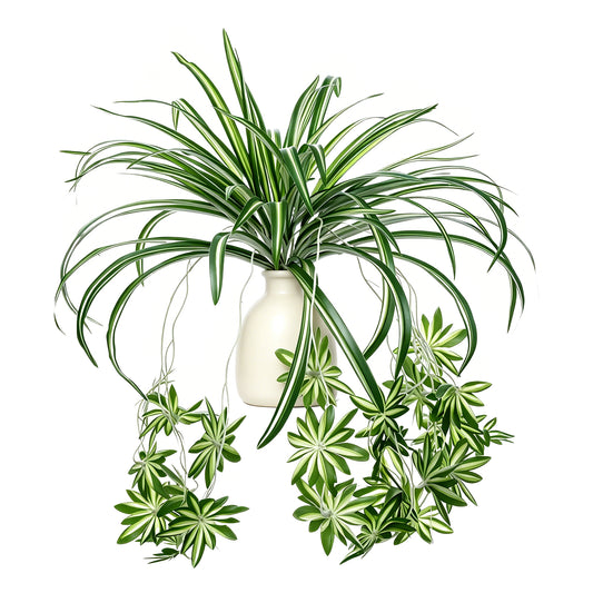 Zelphvt 2 Packs Artificial Spider Plant, 24 Inch Fake Hanging Greenery Plant UV Resistant Faux Chlorophytum Comosum Silk Spider Plants for Indoor Outdoor Home Garden Office Decor (Pot Not Included)