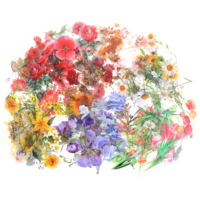 240pcs Dried Pressed Flowers for Resin, Botanical Dried Flower Leave Natural Stickers Set, Transparent Tulip Eucalyptus Daisy Mushroom Decals for DIY Journaling Scrapbook Card Candle, Soap Making
