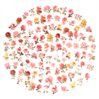 100 Pcs Vintage Rose Stickers, Floral Aesthetic Stickers, Transparent Sticker Clear, Floral Clear Botanical Flower Sticker for Scrapbooking, Laptop, Phone Case, Cards, DIY Crafts, Waterproof