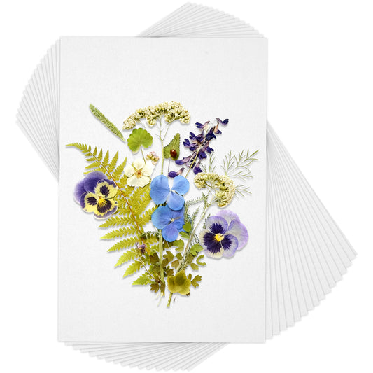 Blotting Paper for Flower Press, 50 Sheets A4 Size 29.7x21cm Flower Press Paper, Highly Absorbent Reusable Blotter Papers for Herbarium Craft and Fountain Pen Writing