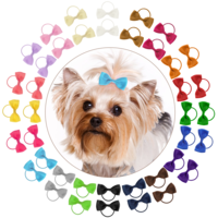 40PCS Cute Puppy Dog Small Bowknot Hair Bows with Rubber Band, Handmade Hair Accessories Pet Grooming Tiny Bowknot Hair Bows for Cat Puppy Party Birthday, Mix Colors Puppy Yorkie Dog Hair Bow