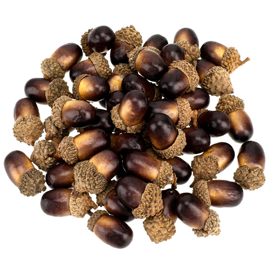 InnoHHustle 50pcs Artificial Acorns, Decorative Acorns for Home Decor, Simulation Small Acorn, Fake Nutty Craft Acorns for Diy Crafting Fall Home Kitchen Decor Thanksgiving Day Christmas Ornaments