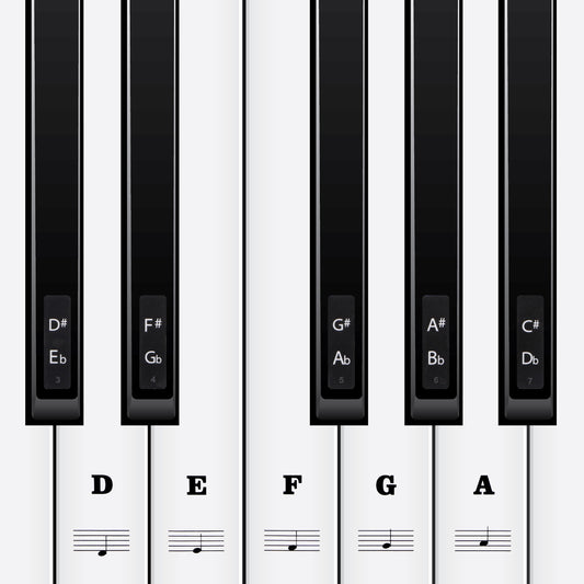 Piano Keyboard Stickers 88/61/54/49/37 Keys White and Black Keys Removable Keyboard Letters Keyboard Note Labels Sticker Piano Stickers for Beginners
