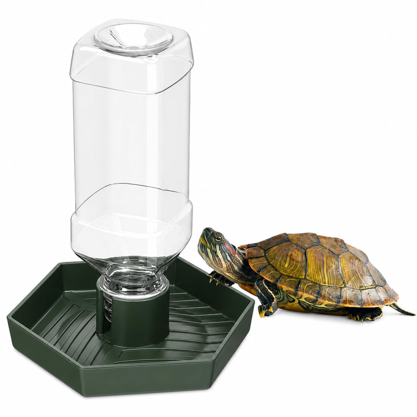 Zelphvt 1 PCS 17 cm Tortoise Water Dish, Reptile Water Dispenser, Green ABS