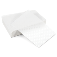 300 Pcs Perm Paper for Hair, End Papers for Hair, Disposable Salon Hairs End Wrap Papers, High Temperature Resistance Curling Tissue Styling Accessories for Cold and Hot Perms (White, 10 X 6.5cm?