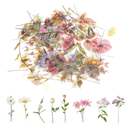 240 Pcs Clear Pressed Flower Stickers Floral Stickers Transparent Wildflower Nature Stickers Self Adhesive Botanical Scrapbook Floral Stickers for Journaling