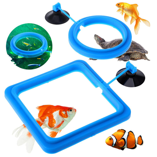 2 Pcs Fish Feeding Rings, Bule Aquarium Floating Plant Rings Fish Feeder Food Feeder Circle Round and Square Aquarium Accessories for Bettas Guppy Goldfish Floating Plants in Place