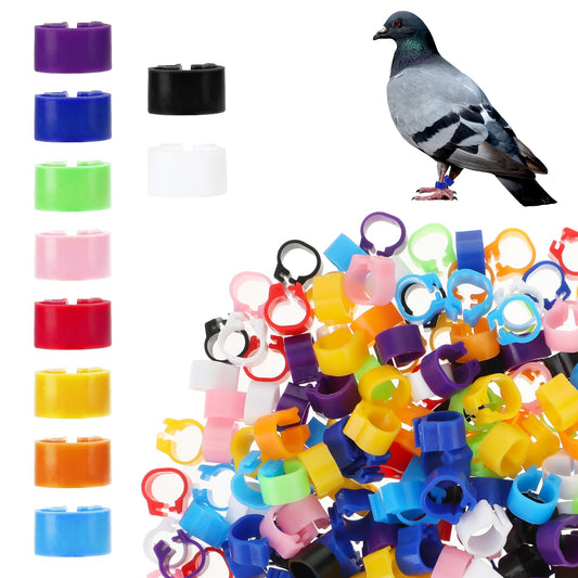 200 Pcs Quail Leg Bands Pigeon Leg Bands Rings Chicken Leg Band Multicolor Foot Bands Clip Poultry Foot Rings for Dove Bird Chicks