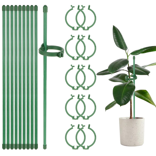 31 cm Orchid Stakes, Plant Support, Pack of 10 Plant Support Sticks with Adjustable Ring, Plant Stabiliser, Small Plant Support, Garden Stakes, Plant Stakes, Climbing Aid for Flowers, Climbing
