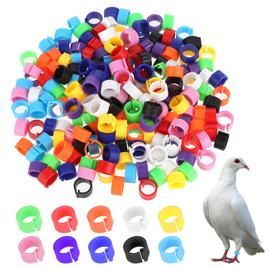 100 Pcs Pigeon Bands Poultry Leg Rings Quail Leg Bands Baby Chick Leg Bands 8mm Multicolor Chicken Identification Ankle Bands for Legs Chicken Identification Leg Bands for Baby Chick Duck Tiny Bantams