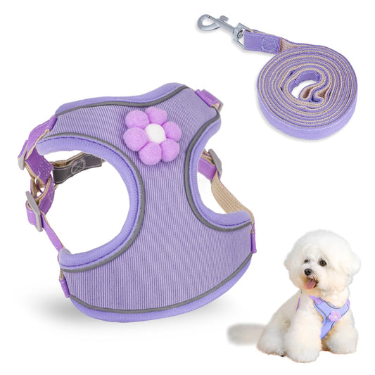 Hariendny Dog Harness and Leash for Small Medium Dogs No Pull Step-in Puppy Harness Reflective Adjustable Pet Harness with Breathable Mesh and Quick-Release Buckle for Puppy(S)