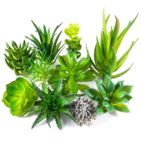 10 Pcs Faux Succulents Unpotted, Fake Succulents Artificial Succulent