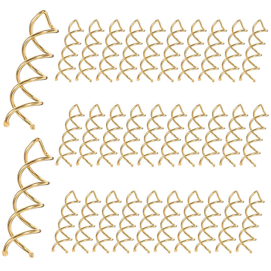 Pack of 30 Spiral Hair Pins, Spiral Hair Clip Spin Pin Hair Styling Aid for Various Hairstyles (Gold)