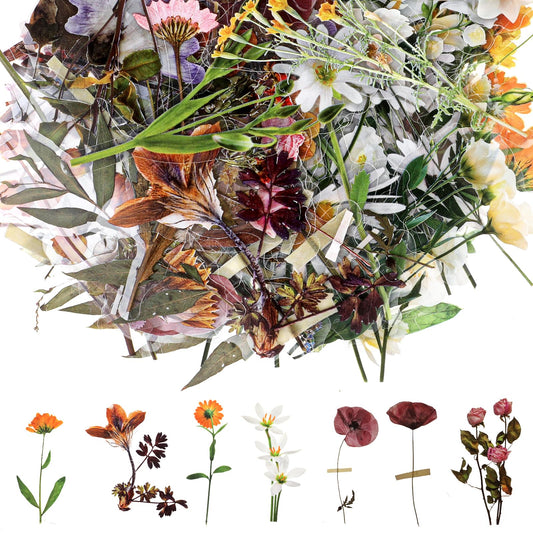 Pack of 120 Stickers Flowers Stickers Scrapbooking Stickers Retro Stickers Photo Album Transparent Stickers Waterproof Vintage Colourful Flower Stickers for Stickers Craft Stickers Colourful Plant
