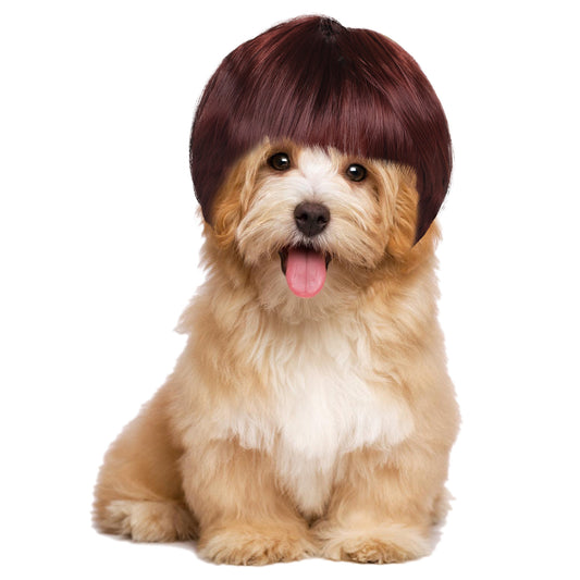 Funny Dog Cat Cosplay Wig, Dog Wigs for Small Dogs, Funny Dogs Wig Pet Costume Pet Hair Accessories Elastic Cat DogCosplay Wigs Decoration for Halloween, Christmas, Parties（Red brown, 7 Inches）