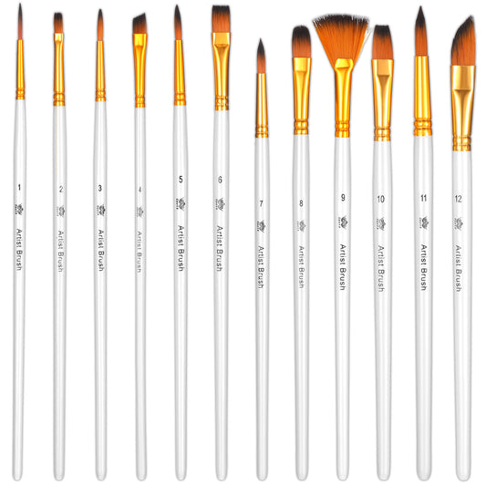 12PCS Watercolour Brushes, Acrylic Paint Brushes, Assorted Shapes for Acrylic, Watercolor, Oil, Gouache Painting on Canvas, Fabric, Ideal for Beginners and Professionals