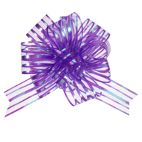 Zyghjort Pull Bows for Gift Wrapping, 12 Pcs Large 6 Inch Organza Gift Wrap Bows Reusable Ribbon Bow Decoration for Wedding Birthday Christmas Flower Bouquets Baskets Present Wrapping (Purple)