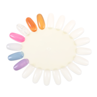 False Nail Swatches Wheels, Nail Polish Display Wheel Plastic Nails Art Color Tester Wheels Nails Wheel Swatches Nail-Wheel Art for Color Show Nail-Manicure Practice SampleNail Polish, 200 PCS Beige