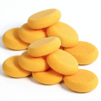 Paint Sponge, 12 Pcs Orange Round Painting Sponges 3 Inch Artist Pottery Sponge Applicator Watercolor Sponges for Face Painting Pottery Art Crafts Ceramics