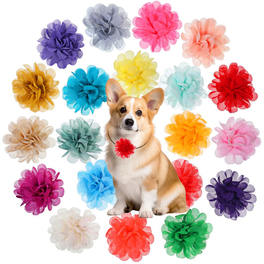 20 Pcs Dog Collar Flowers 3-inch Multi-Color Pet Collar Accessories Floral Bow Ties Attachment Chiffon Grooming Charms Collars for Dogs Cats Pets(10 Colors)