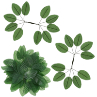 Sliverdew 50 Pcs Artificial Green Leaves Rose Leaves Bulk Fake Leave for DIY Wedding Bouquets Bridal Wreath Decor (Green)