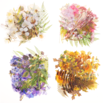 160PCS Pressed Flower Stickers, Transparent Vintage Flower Stickers, Plants Wildflower Forest Stickers for Scrapbooking Supplies Diaries Notebooks DIY Crafts Decoration