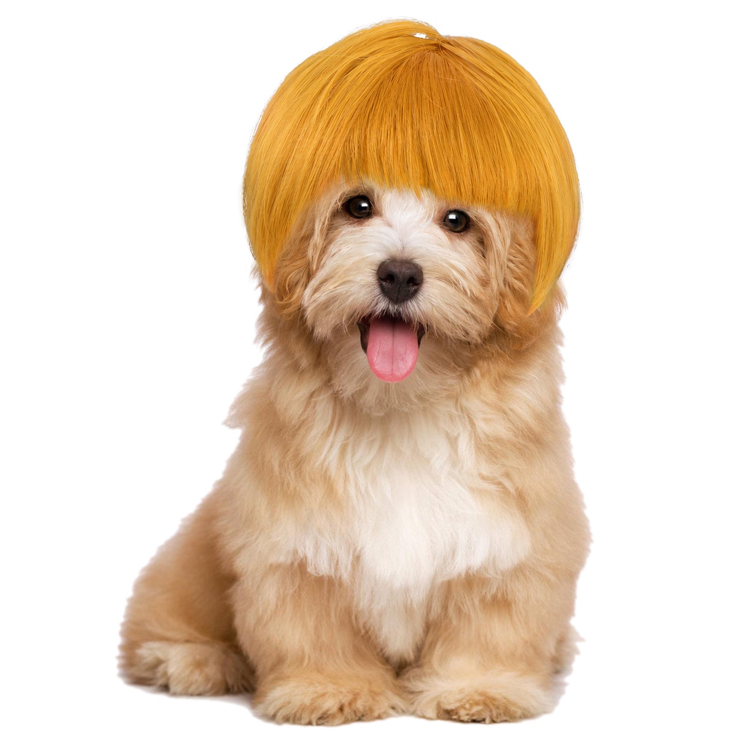 Funny Dog Wig for Small Medium Large Dogs Golden 7 Inch