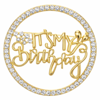 Its My Birthday Pin for Women Metal Pin Rhinestone Queen Crown Brooch Pins for Women Happy Birthday Pins Wedding Party Birthdays Celebrations